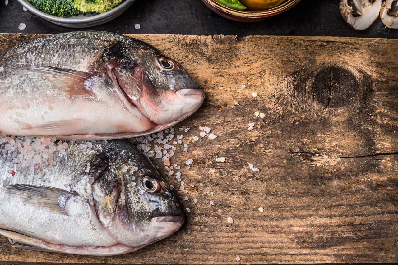 Fish_resized Featured Image
