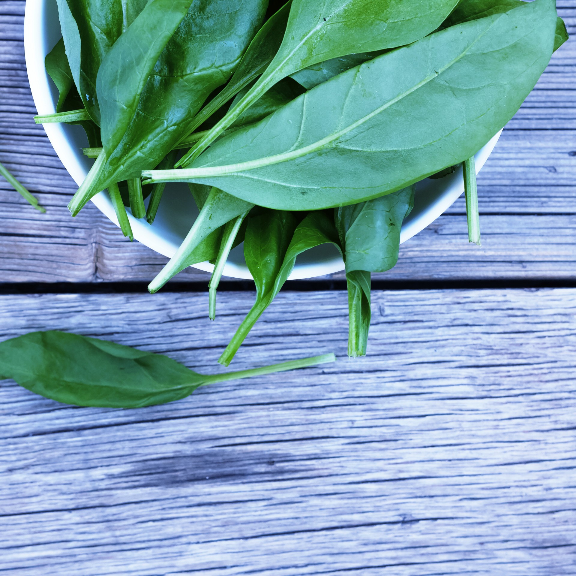 Spinach Featured Image