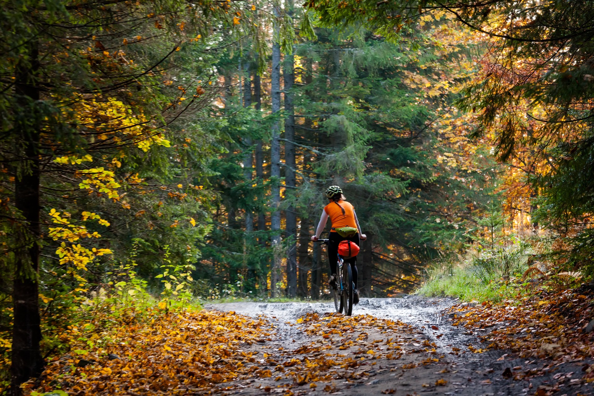 Fall Mountain Biking Featured Image