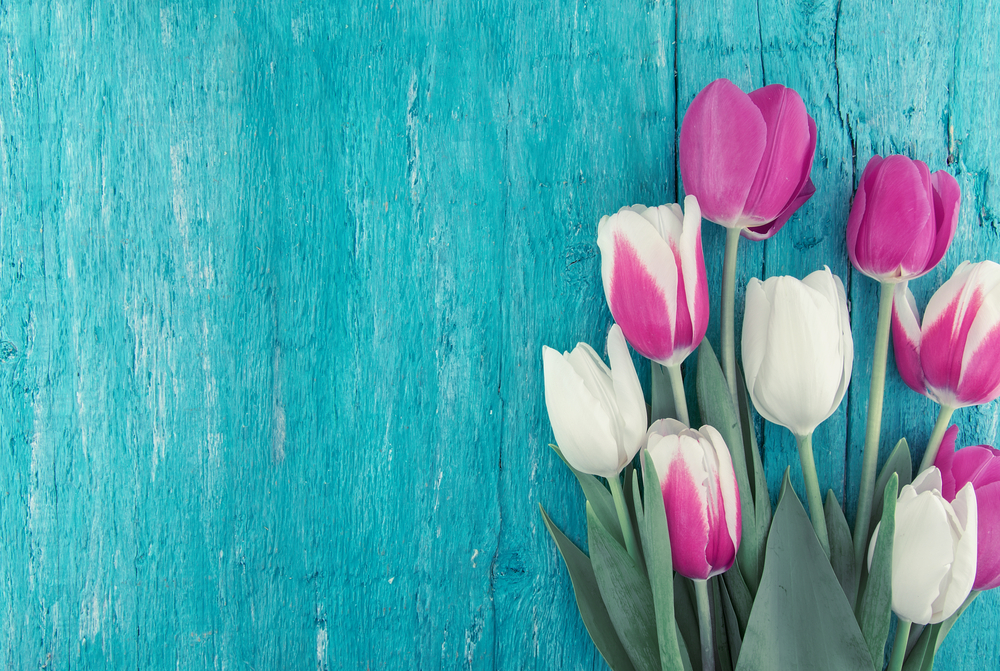 Flowers Featured Image