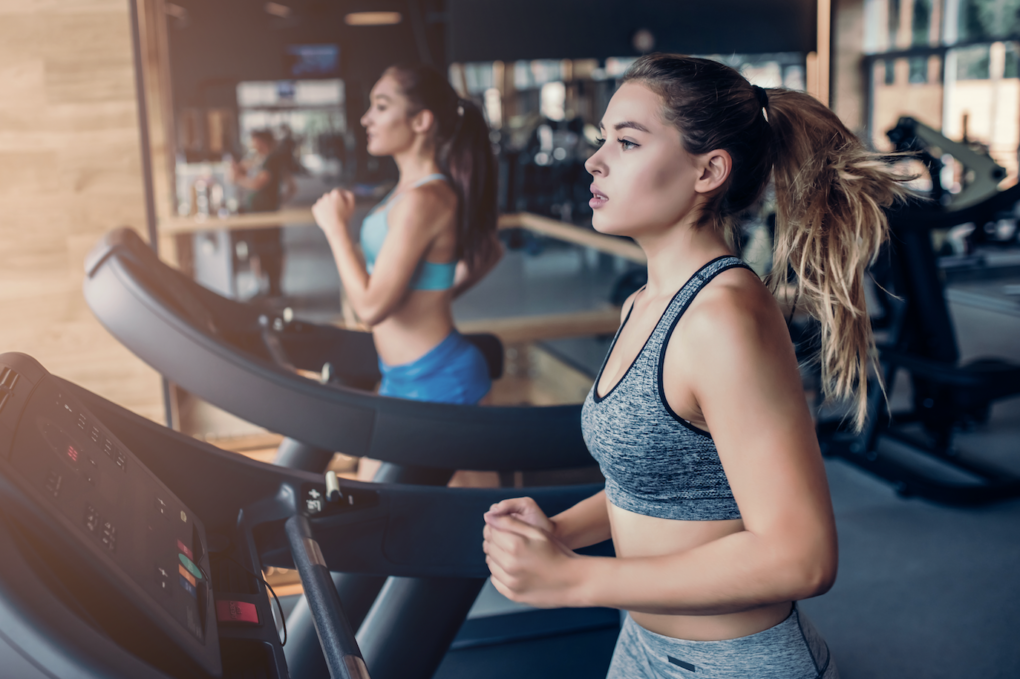 Cardio-Web Featured Image