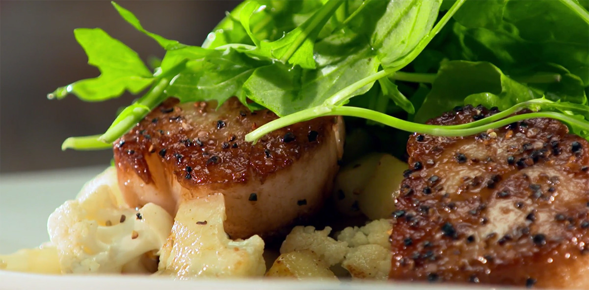 Scallops 1 Featured Image